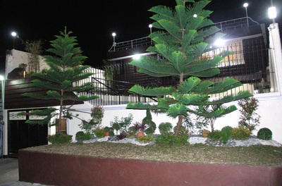 tagaytay house for rent
Casa Minerva Tagaytay at night